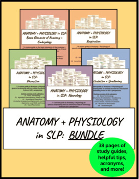 Preview of Anatomy + Physiology in SLP: BUNDLE