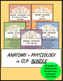 Anatomy + Physiology in SLP: BUNDLE