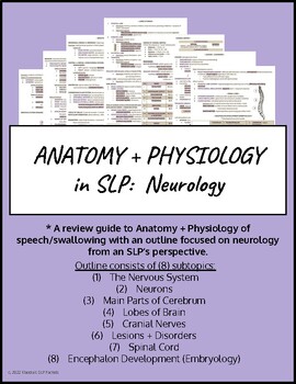 Preview of Anatomy + Physiology in SLP: Neurology