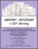 Anatomy + Physiology in SLP: Neurology