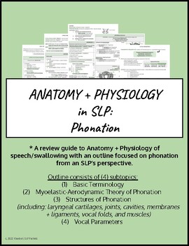 Preview of Anatomy + Physiology in SLP: Phonation