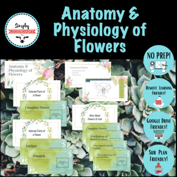 Preview of Anatomy & Physiology of Flowers- Horticulture, Agriculture- Remote Friendly!