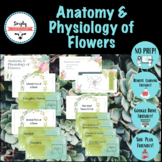 Anatomy & Physiology of Flowers- Horticulture, Agriculture