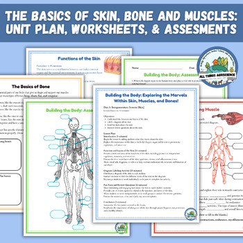 Preview of Anatomy & Physiology Worksheets - Skin, Bones, & Muscles Unit Plan & Assessments