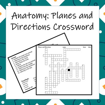 Anatomy: Planes and Directions of the Body Crossword by Homemade MS