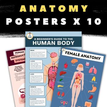 Preview of Anatomy Poster Bundle! 10 Printable High Definition Posters - PDF