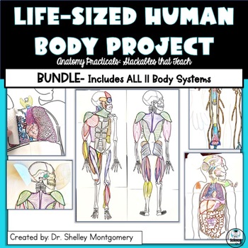 Preview of Anatomy Practicals-Life-Sized Body System PROJECT BUNDLE! Incl all 11 Systems!