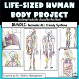 Anatomy Practicals-Life-Sized Body System PROJECT BUNDLE! 