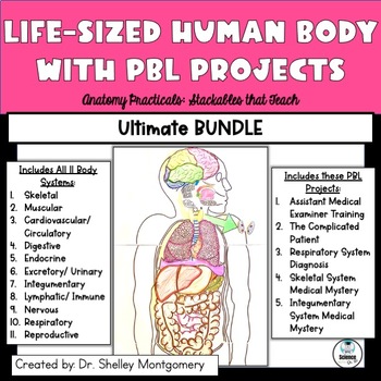 Preview of Anatomy Practicals-Life-Sized Body System ULTIMATE PROJECT BUNDLE with PBLs