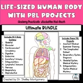 Anatomy Practicals-Life-Sized Body System ULTIMATE PROJECT