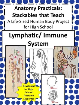 Preview of Anatomy Practicals-Life-Sized Lymphatic/Immune System PROJECT!