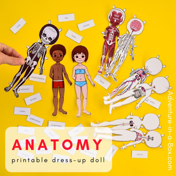 Preview of Anatomy Printable Dress-up & Magnetic Paper Doll for Studying Human Body Systems