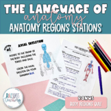 Anatomy Regions