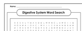 Anatomy Review - Digestive System Word Search