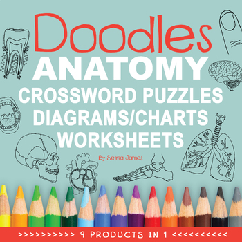 Preview of Anatomy Science Diagrams | Charts | Worksheets | Anatomy and Physiology Bundle