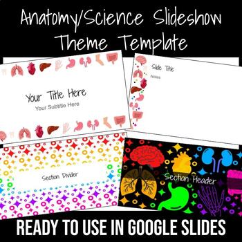 Preview of Anatomy / Science Slideshow Theme Template