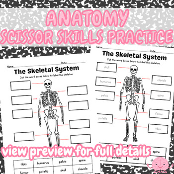 Preview of Anatomy Scissor Skills Practice: Skeleton, Forearm & Hand, and Knee