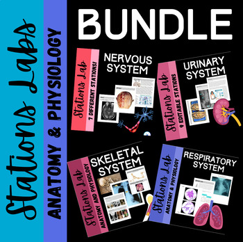 Preview of Anatomy Stations Lab Bundle