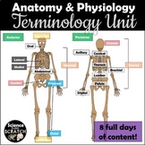Anatomy Terminology Unit: Directional Terms, Regions, Body