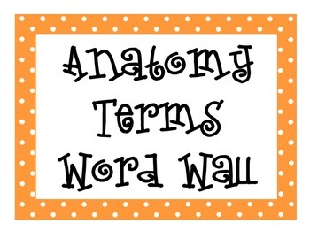 Preview of Anatomy Terms Word Wall
