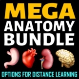 Anatomy Bundle | Editable, Printable & Distance Learning O