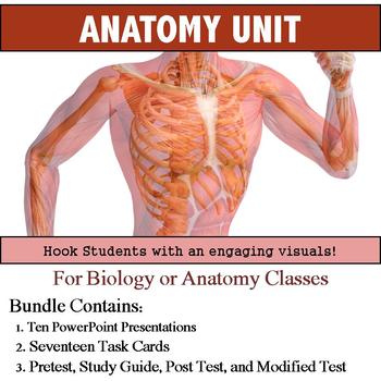 Preview of Anatomy Unit