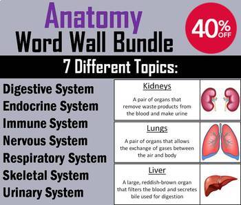 Preview of Human Body Systems Word Wall Bundle: Anatomy and Physiology