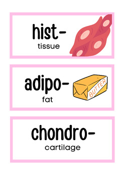 Preview of Anatomy Word Wall Printables
