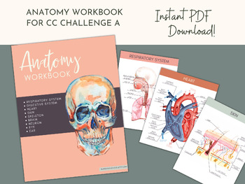 Preview of Anatomy Workbook for CC Challenge A Research Strand Science