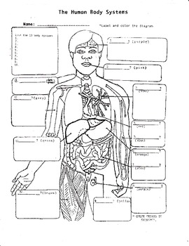 The Human Body Systems #1 by Biology Buff | Teachers Pay ...