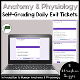 Anatomy and Physiology 10 Self-Grading Exit Ticket Quizzes
