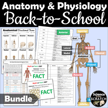 Preview of Anatomy Back To School Bundle | First 3 Weeks | First Day & Terminology