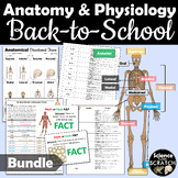 Anatomy Back To School Bundle | First 3 Weeks | First Day 