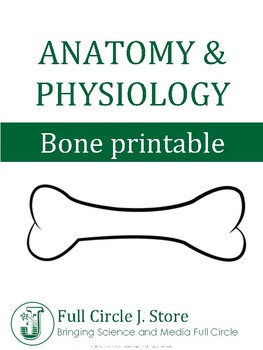 Preview of Anatomy and Physiology Bone Printable, Vocabulary
