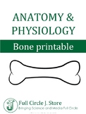 Anatomy and Physiology Bone Printable, Vocabulary
