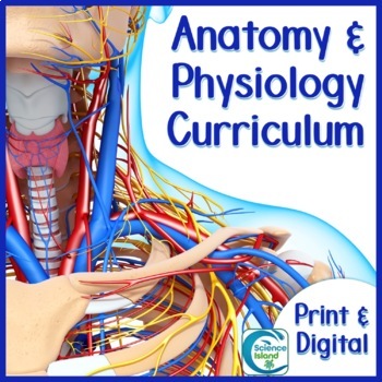 Preview of Anatomy and Physiology Curriculum