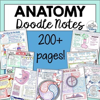 Preview of Anatomy and Physiology Doodle Notes Bundle - Notes for Human Body Systems