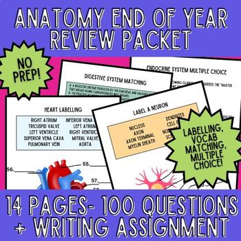 Preview of Anatomy and Physiology End of the Year Review Work Packet