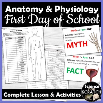 Preview of Anatomy and Physiology - First Day of School