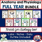 Anatomy and Physiology  |  Full Year Curriculum |  Biology