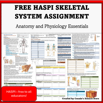 Preview of Anatomy and Physiology - HASPI Skeletal System I