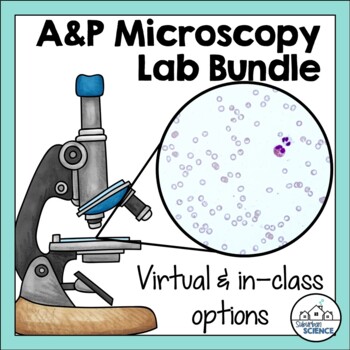 Preview of Anatomy and Physiology Histology or Tissues Labs - Microscope Lab Bundle