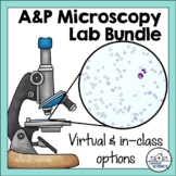 Anatomy and Physiology Histology or Tissues Labs - Microsc