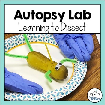 Preview of Anatomy and Physiology Lab - Introduction to Dissection with Pickle Autopsy