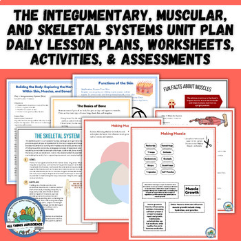 Preview of Skin, Muscle, & Bone - Lesson Plan, Worksheets, Activities, & Assessment BUNDLE