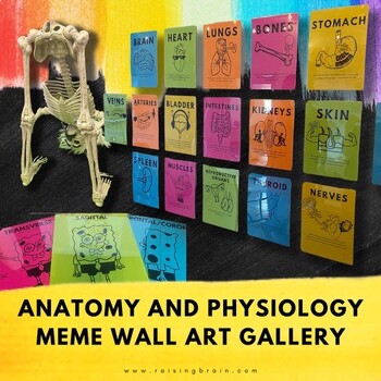 Preview of Anatomy and Physiology - Meme Wall Art Gallery for Home or Classroom!