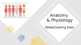 Anatomy and Physiology Notes/Coloring Book *ESE *Editable*