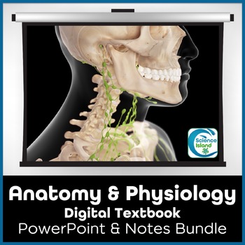 Preview of Anatomy and Physiology PowerPoint Bundle Digital Textbook and Notes