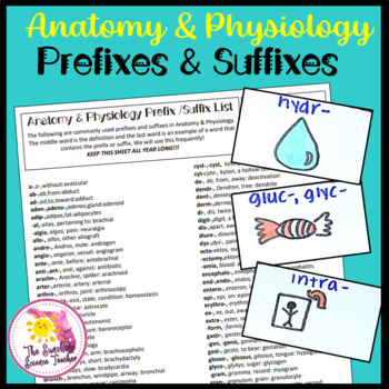 Preview of Anatomy and Physiology Prefix Suffix Flashcard Activity with Tests | NO PREP!