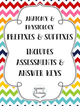 Preview of Anatomy and Physiology: Prefix and Suffix Bundle